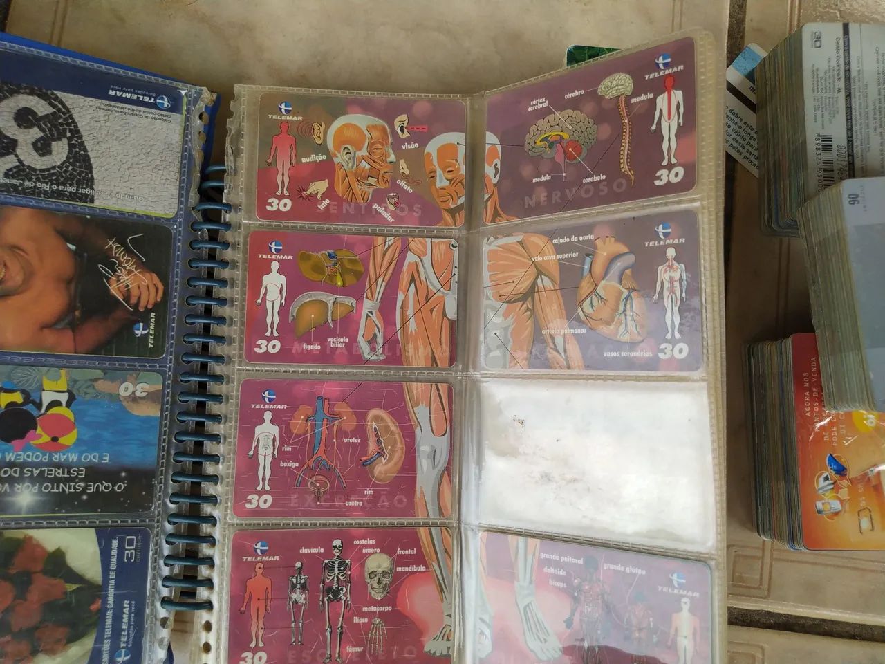 Coleção de Cartões Telefônicos64294633556225123