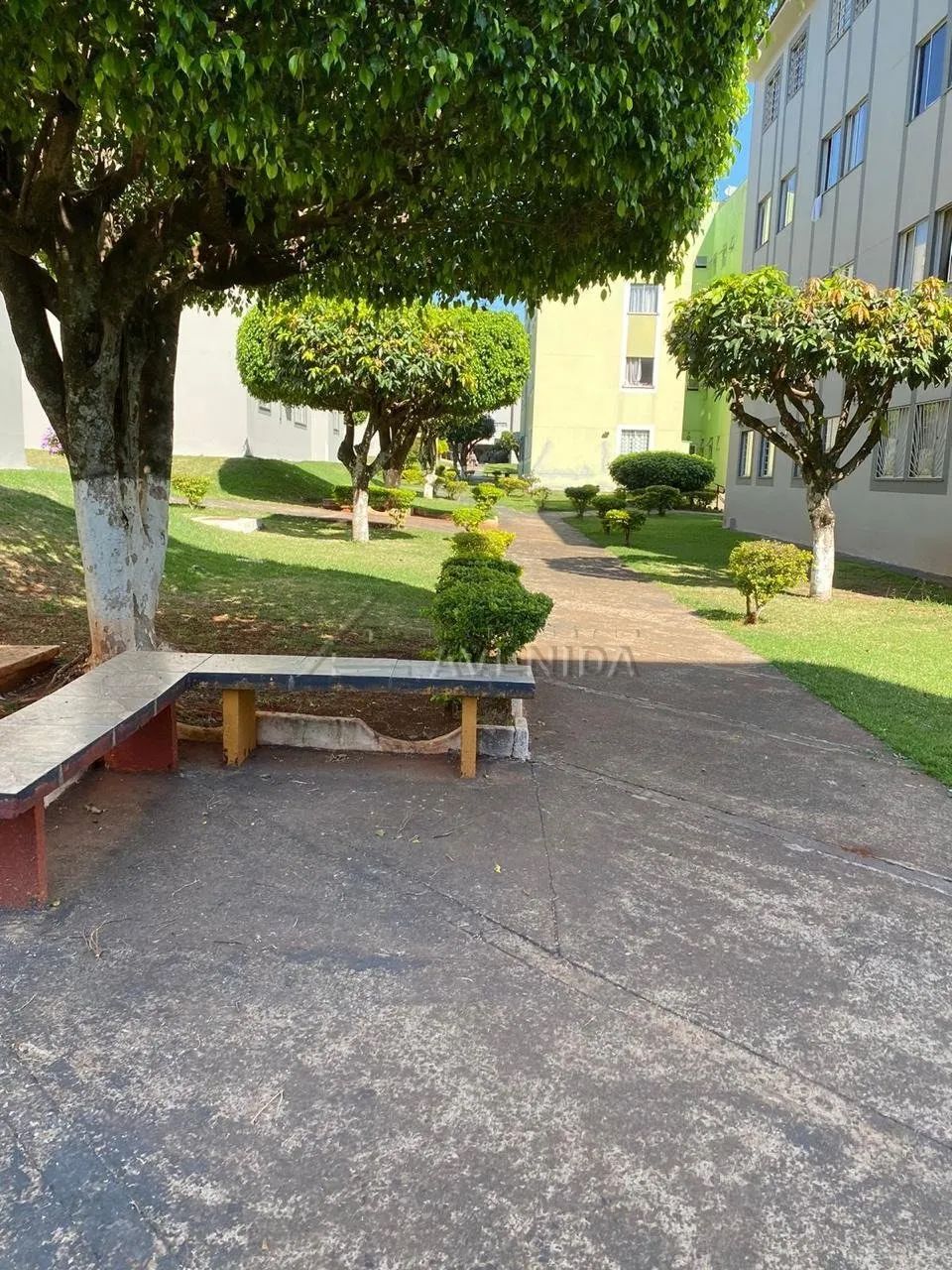 Lindo apartamento no Residencial Ouro Verde disponível para venda. - Foto 5