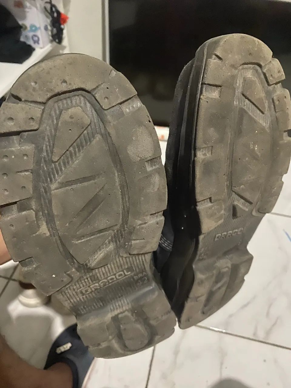 Bota