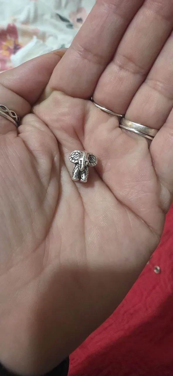 Separador elefante vivara  - Foto 3