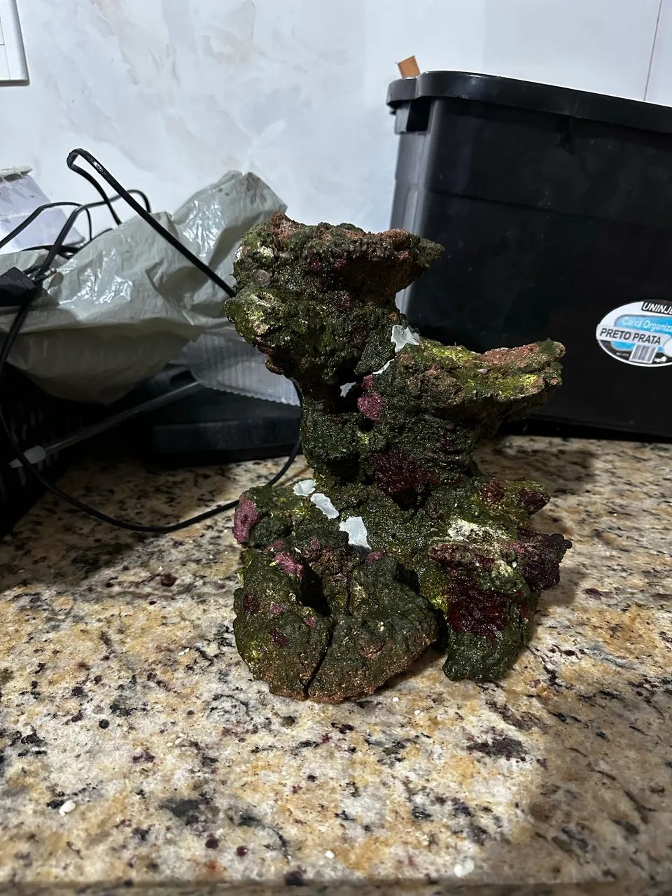 Aquário marinho - Foto 2