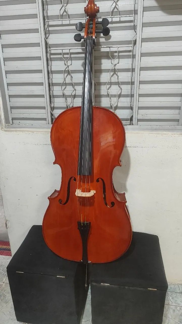 Violoncelo parrot 09 