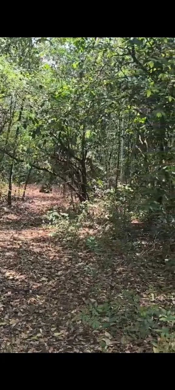 Chácara com acesso ao rio