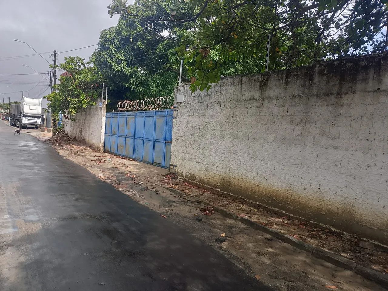 Aluga-se terreno em Eusébio  - Foto 4