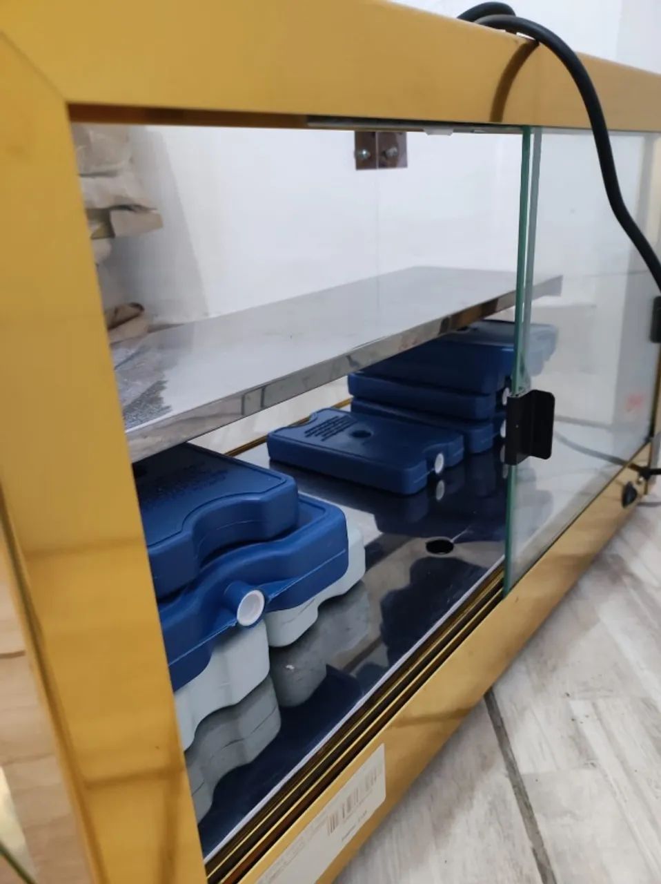 Venda de Vitrine Fria Dourada com Gelo | Omega - Foto 2
