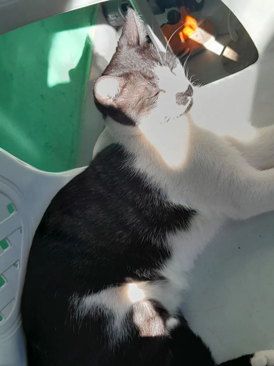 Doação