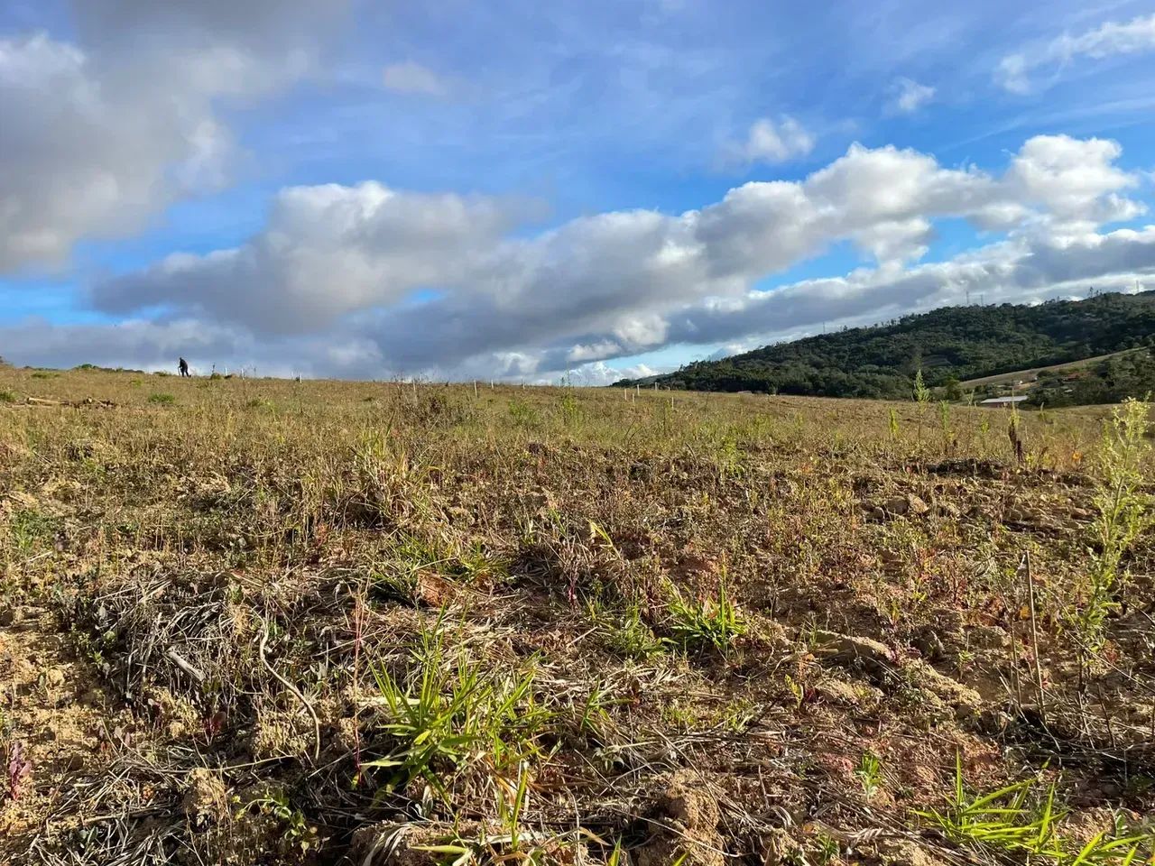 Imóvel para venda com 500 metros quadrados - Foto 3