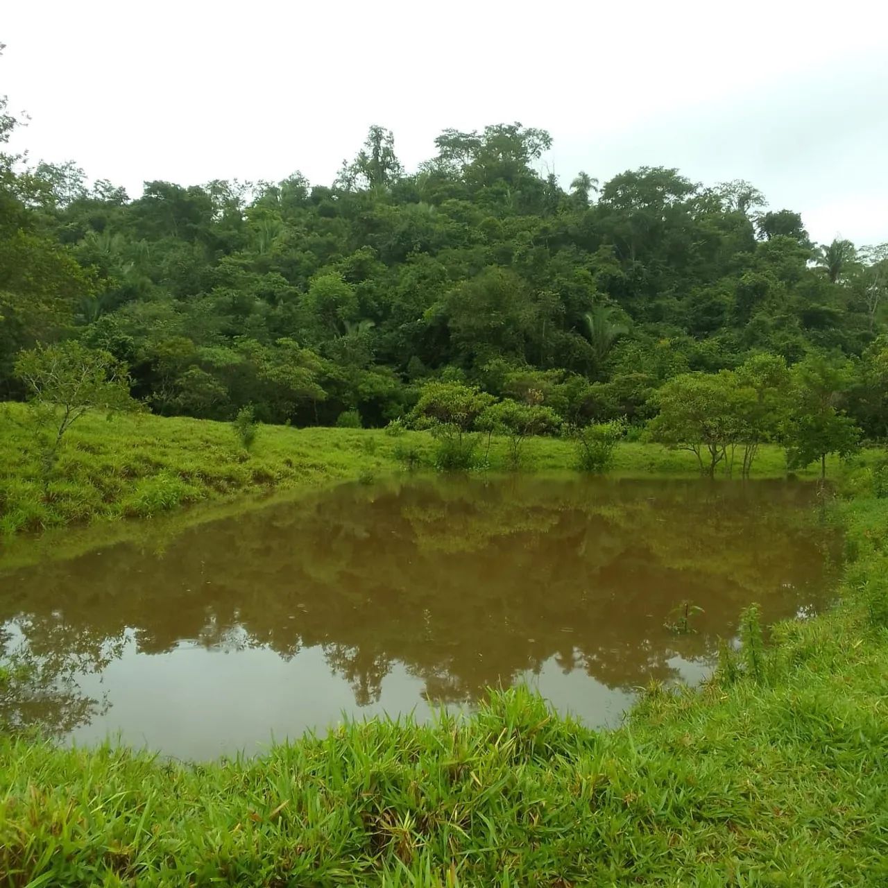 FAZENDA CHAPADA DOS VEADEIROS - Foto 4