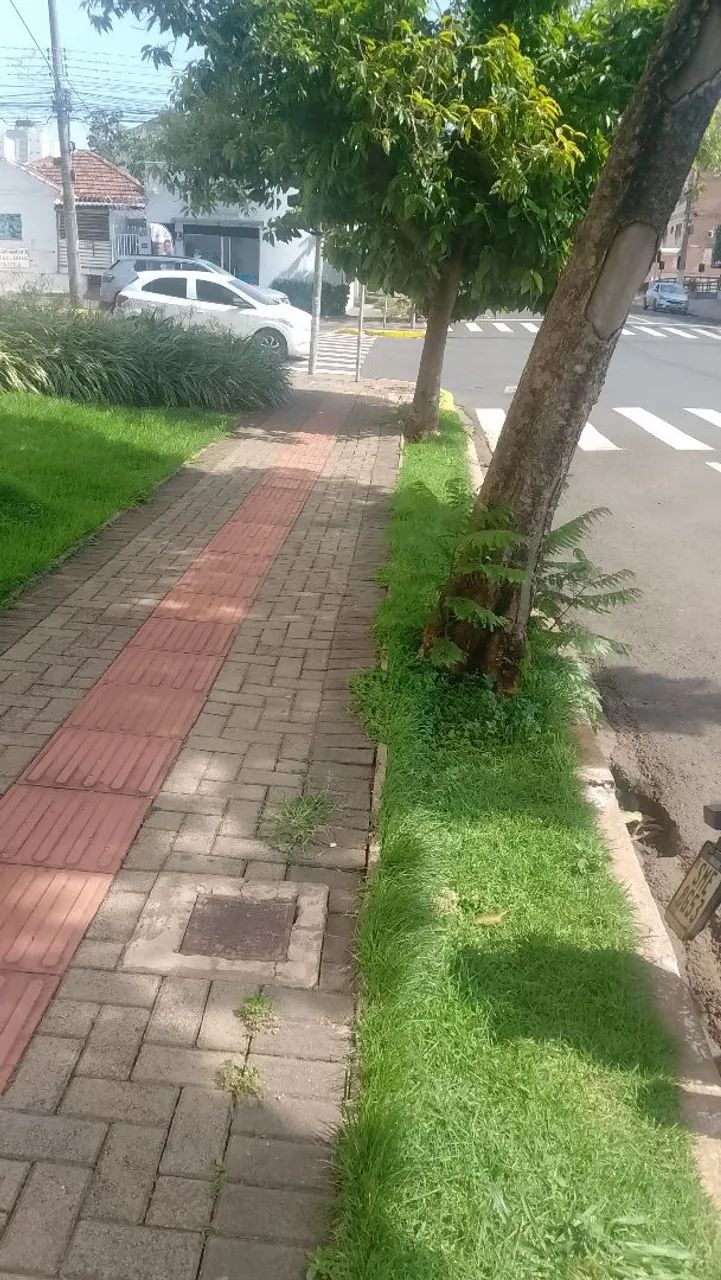 Jardim  - Foto 3