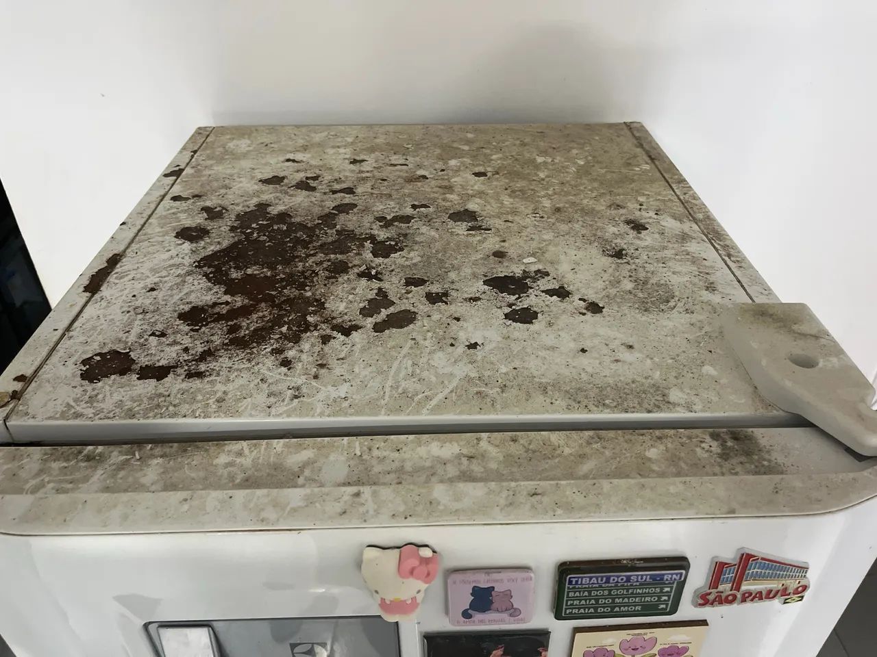 Geladeira Eletrolux DF42 - Foto 4