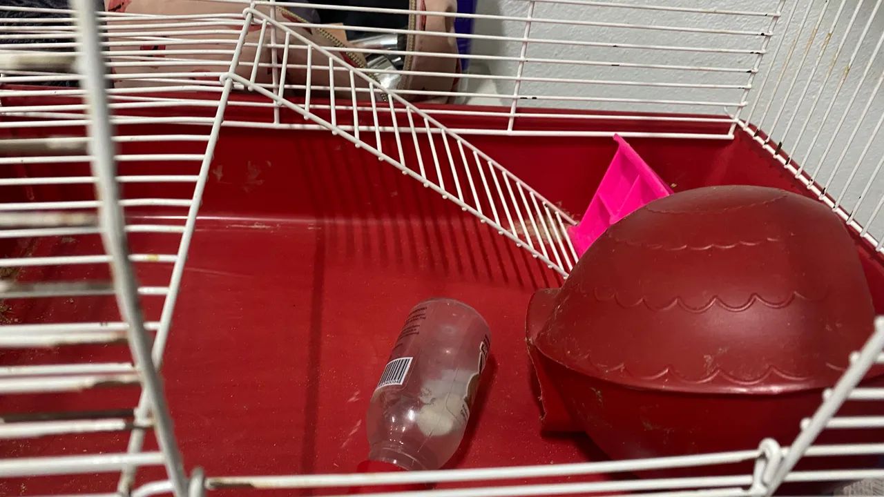 Gaiola para hamster  - Foto 2