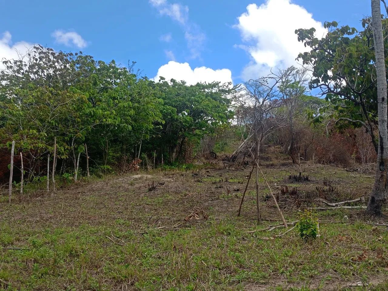 Vendo terrenos perto de Santo amaro perto do povoado aldeias  - Foto 5