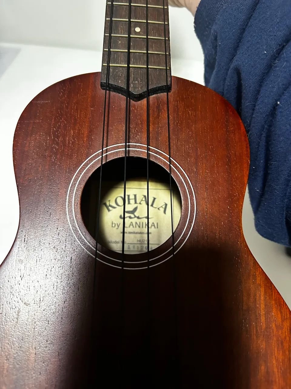 Ukulele - Foto 2