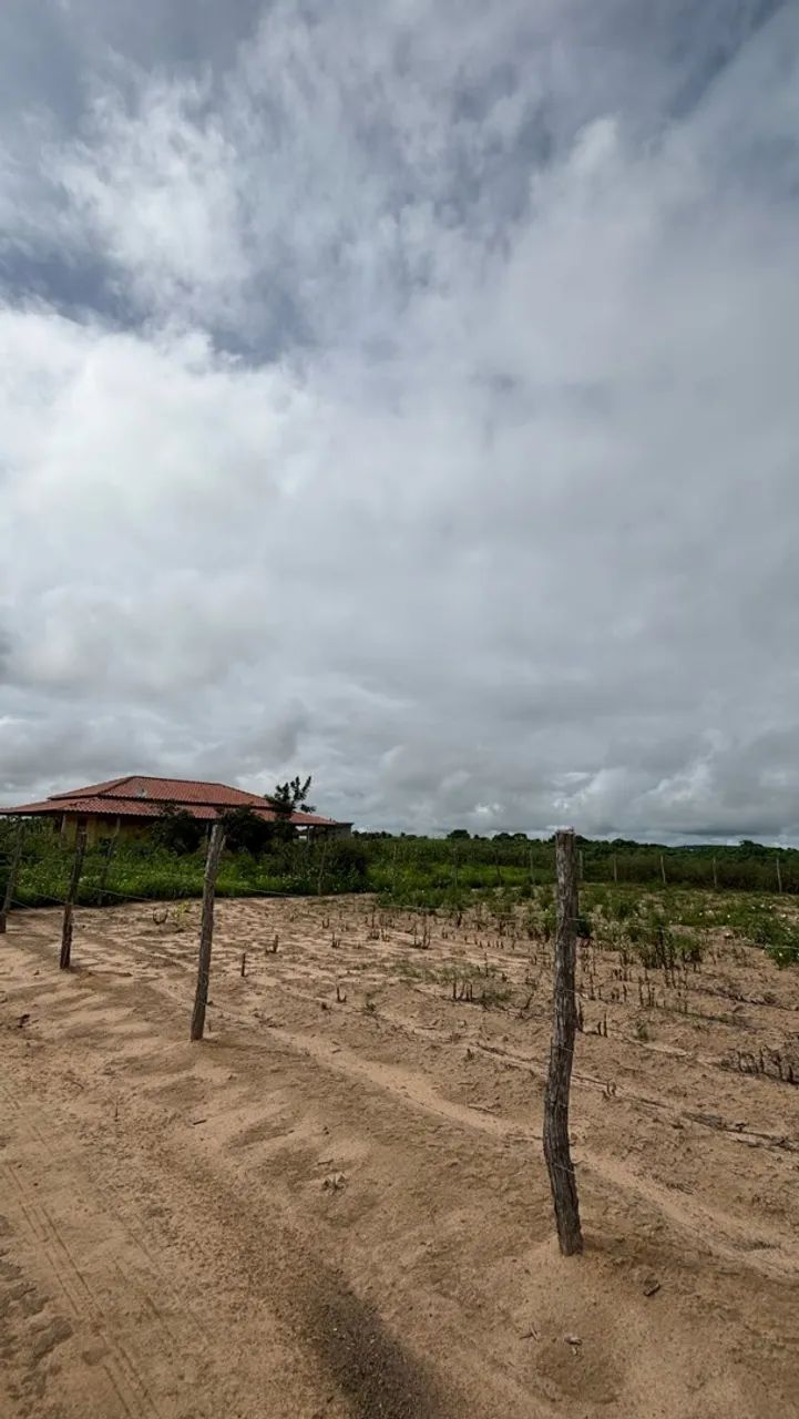 Venda de terreno