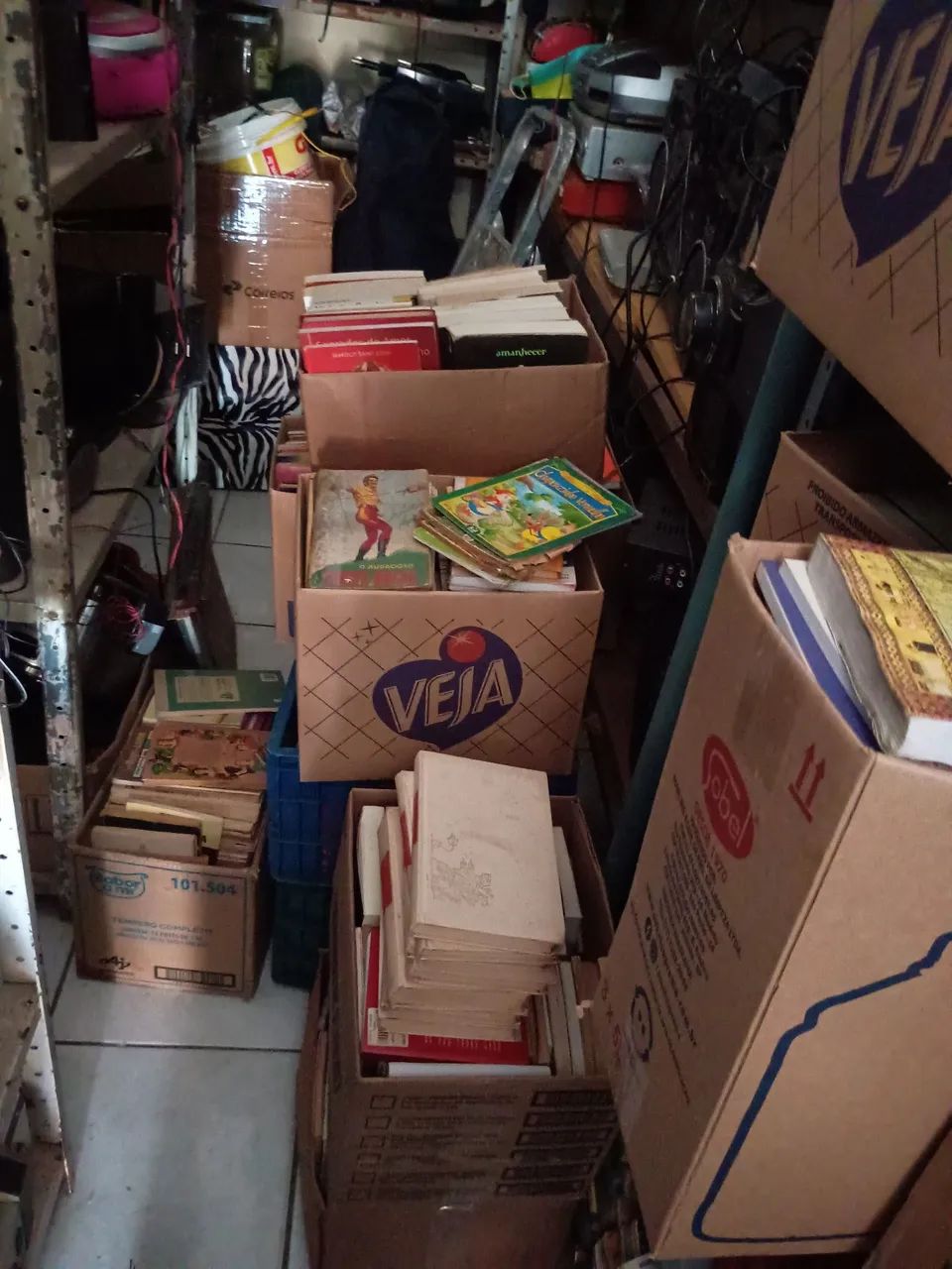 Lote de livros diversos 