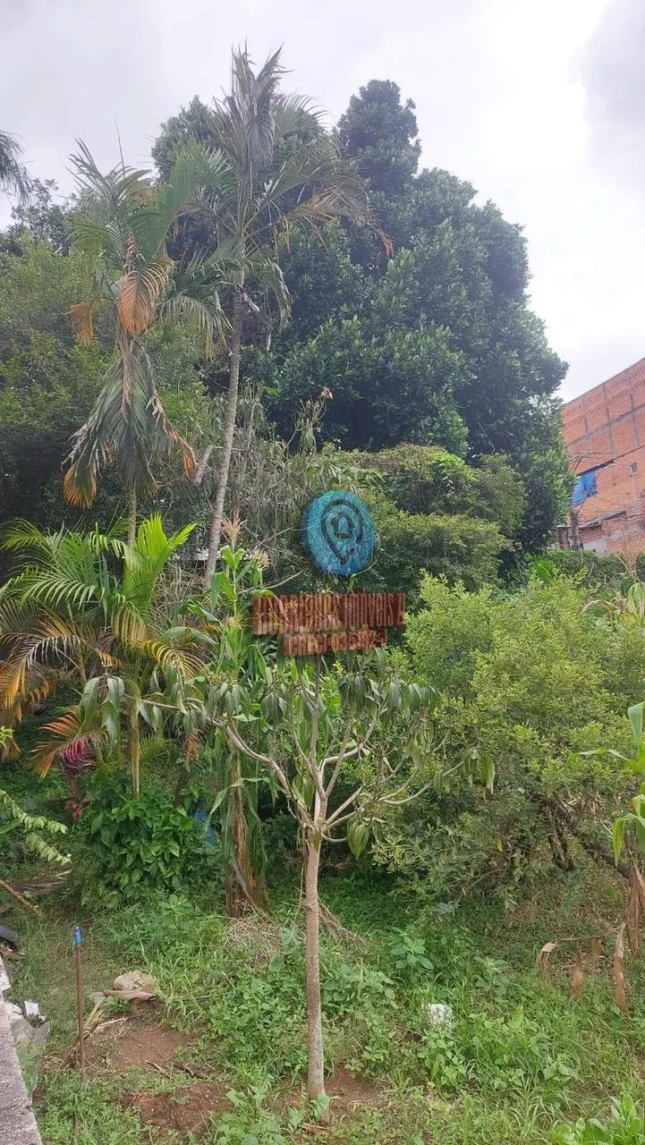 Lote / Terreno em Vila Santa Margarida - Ferraz de Vasconcelos - Foto 4