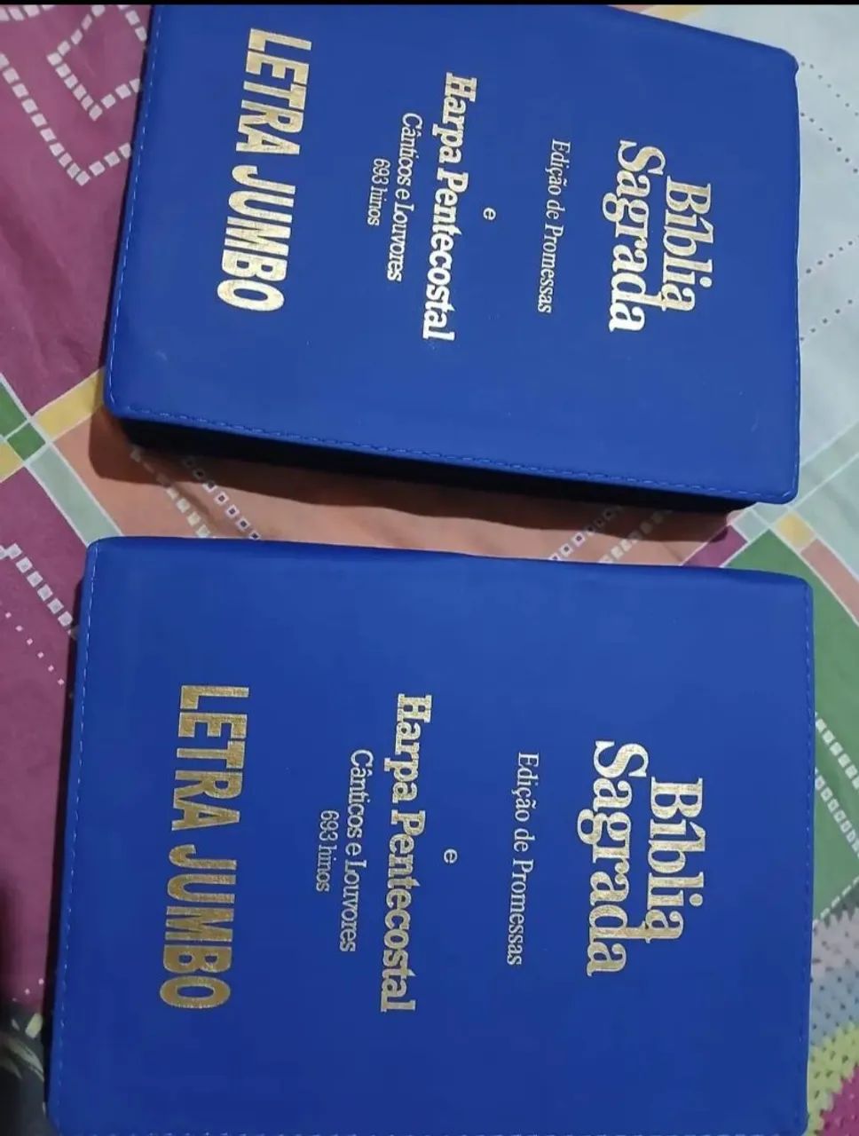 Bíblia jumbo, Páginas simples - Foto 2