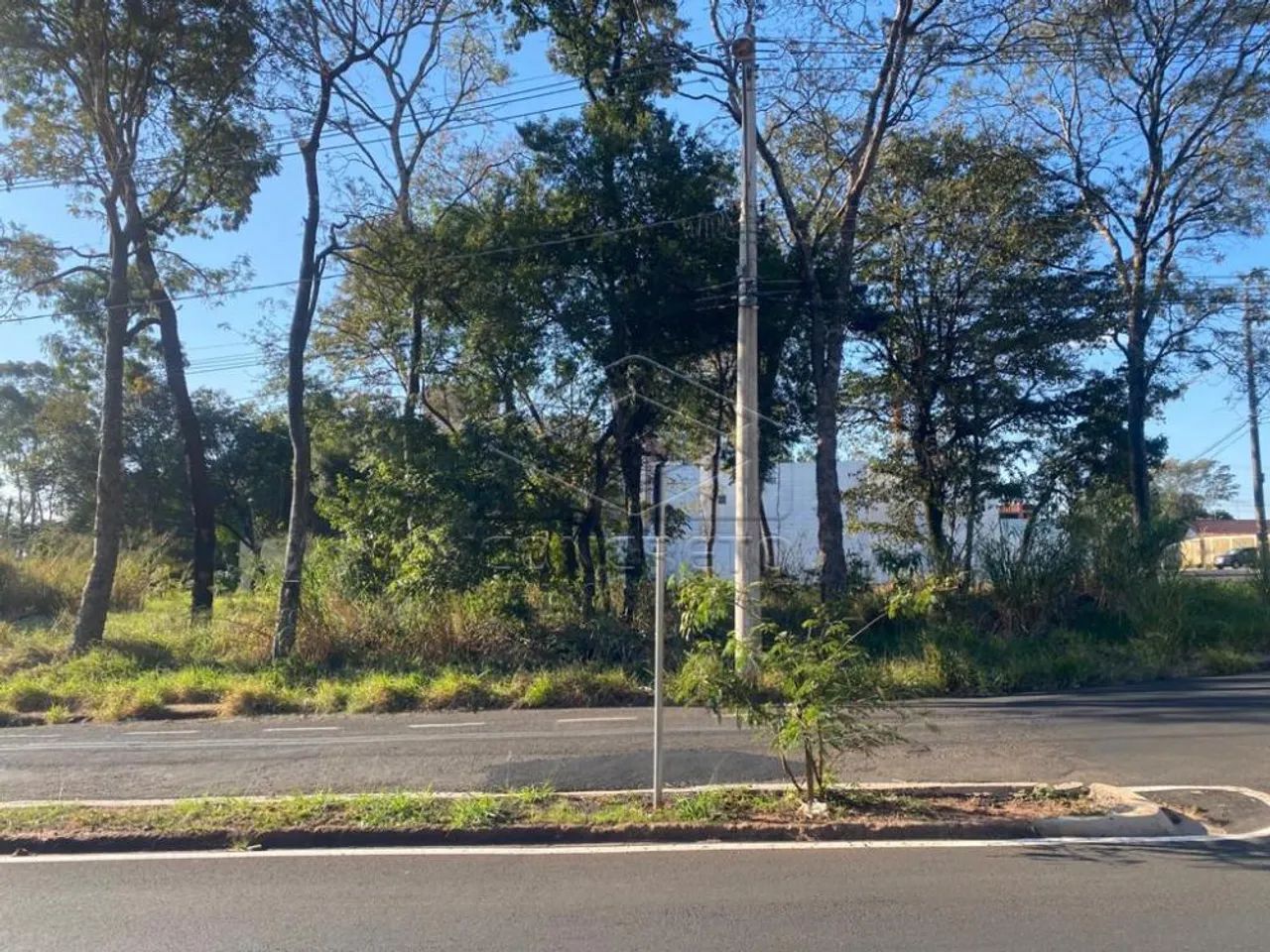 Terreno Padrão em Bauru - Foto 4