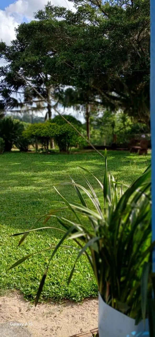 Sitio em morro redondo  - Foto 4