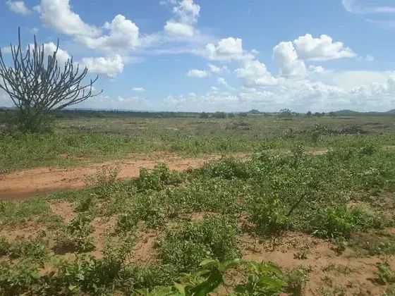 Fazenda com 570 hectares entre Tangara e serra caiada - Foto 3