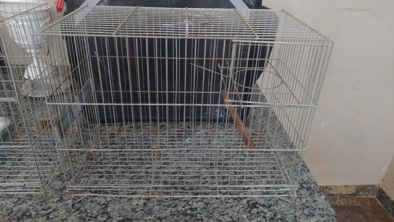 Gaiolas