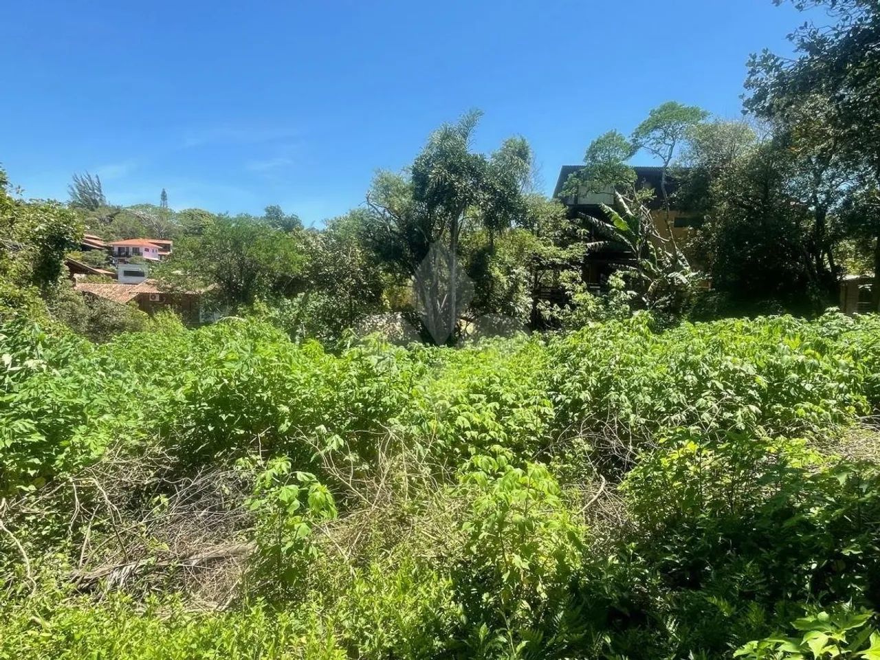 Terreno amplo na Praia do Rosa / Imbituba /SC - Foto 4