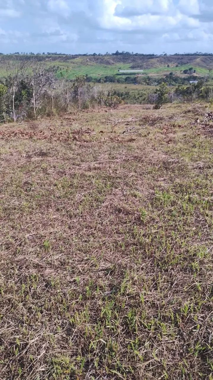 Terreno 10x60 salgado  - Foto 3