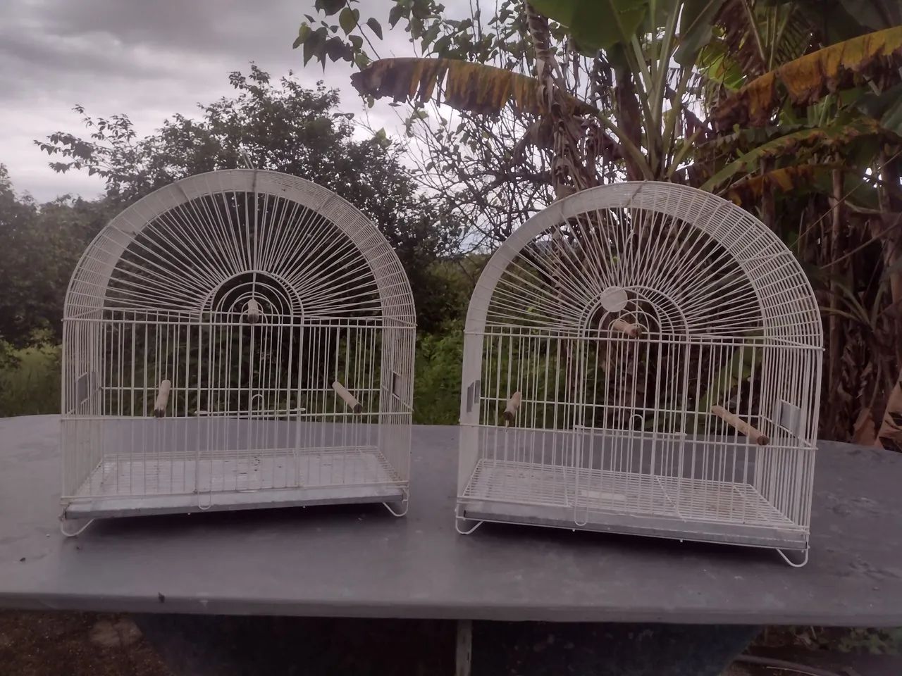 Duas gaiolas para canário belga e periquito 