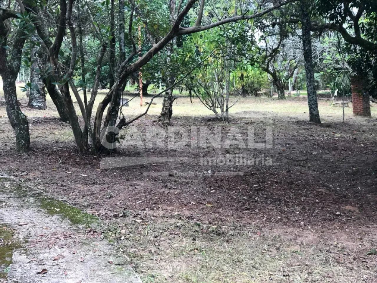 Rural Chácara em Itirapina - Foto 3