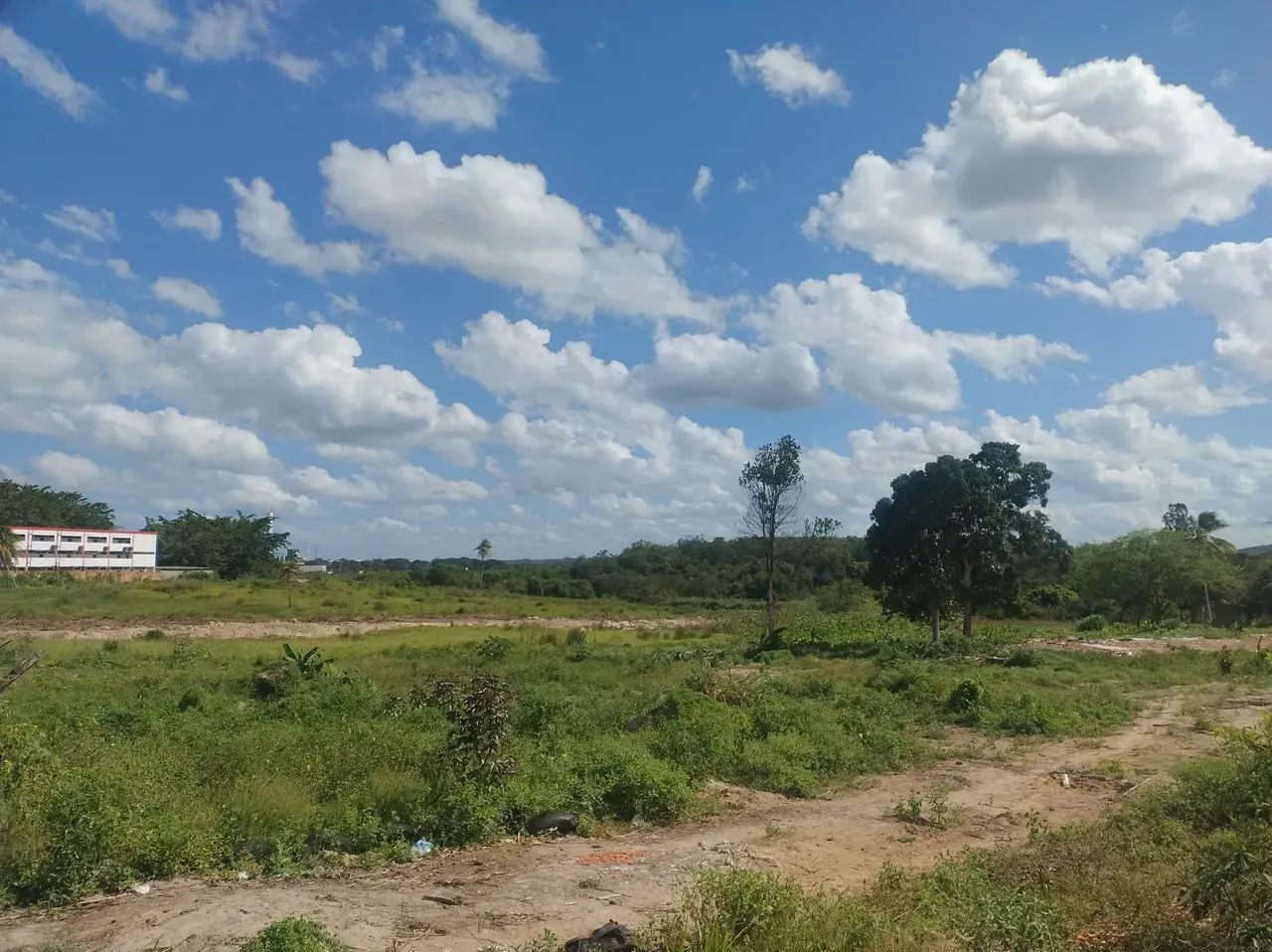 ÁREA EM ALAGOINHAS - Foto 3