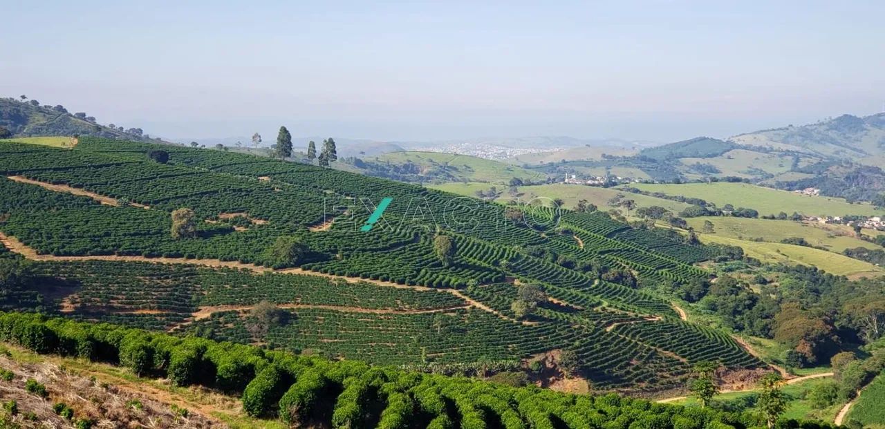 fazenda - Centro - Carmo de Minas - Foto 4