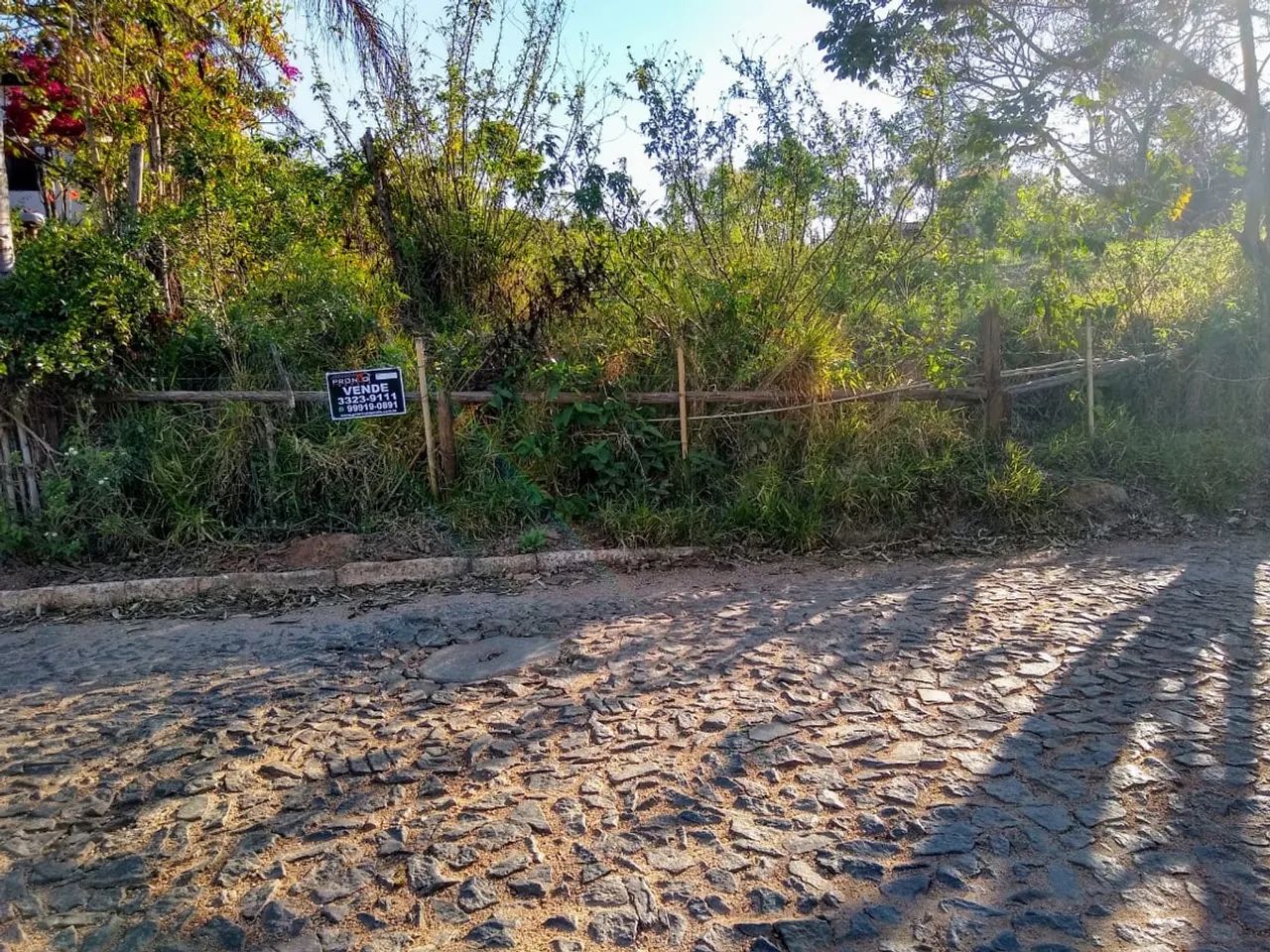 LOTE NO BICHINHO - Foto 4