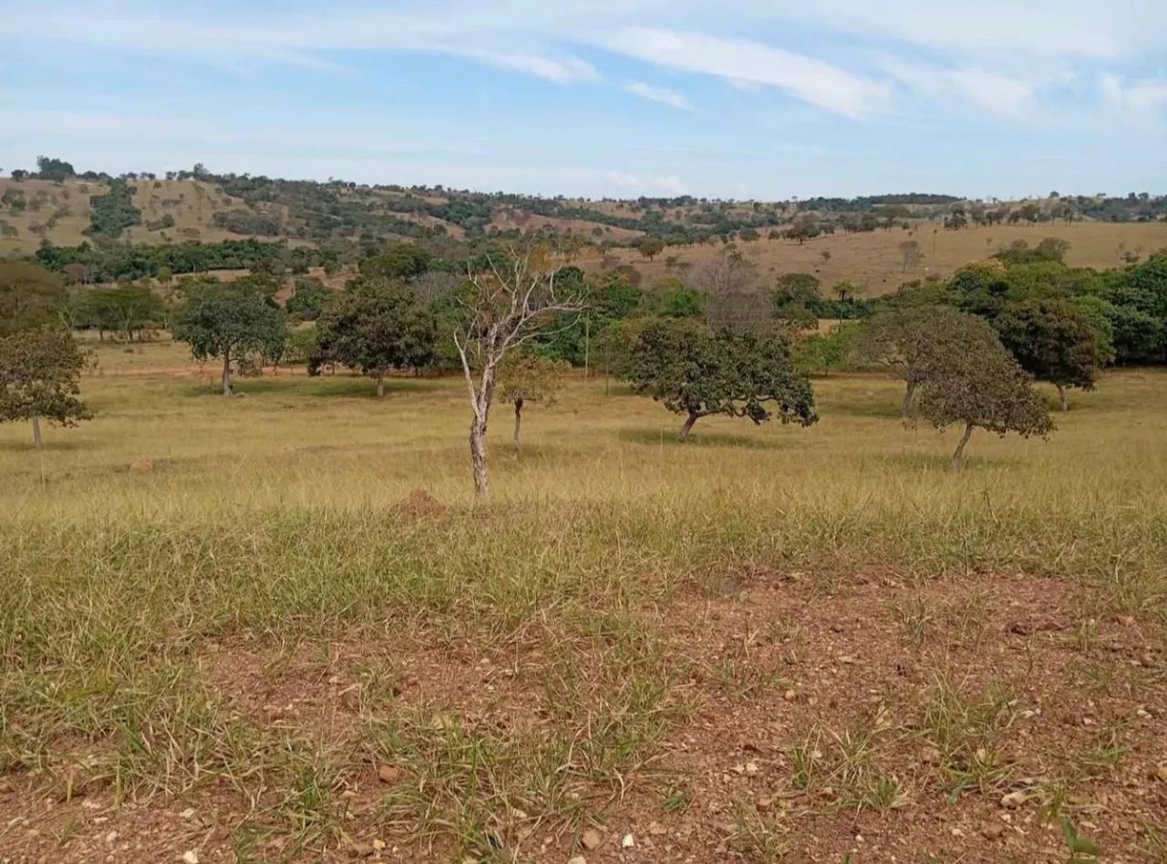 Vendo um terreno - Foto 3