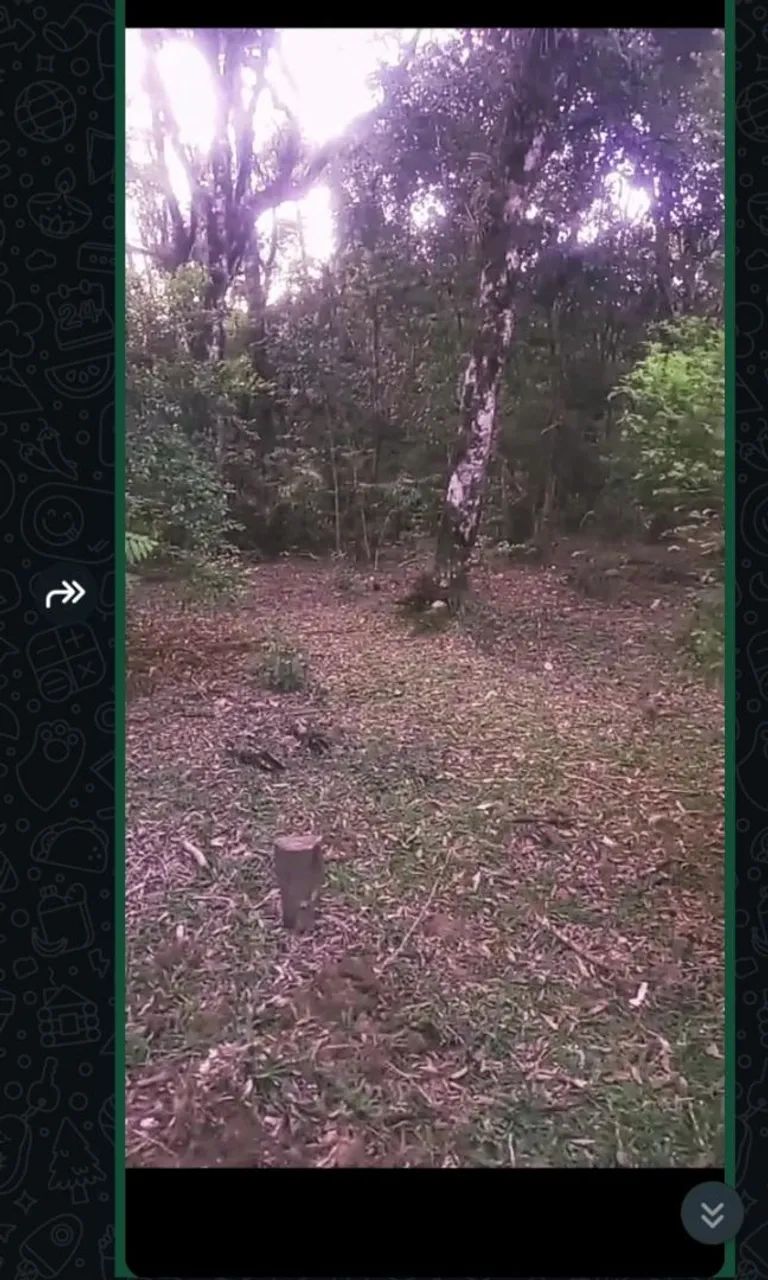 Terreno  - Foto 4
