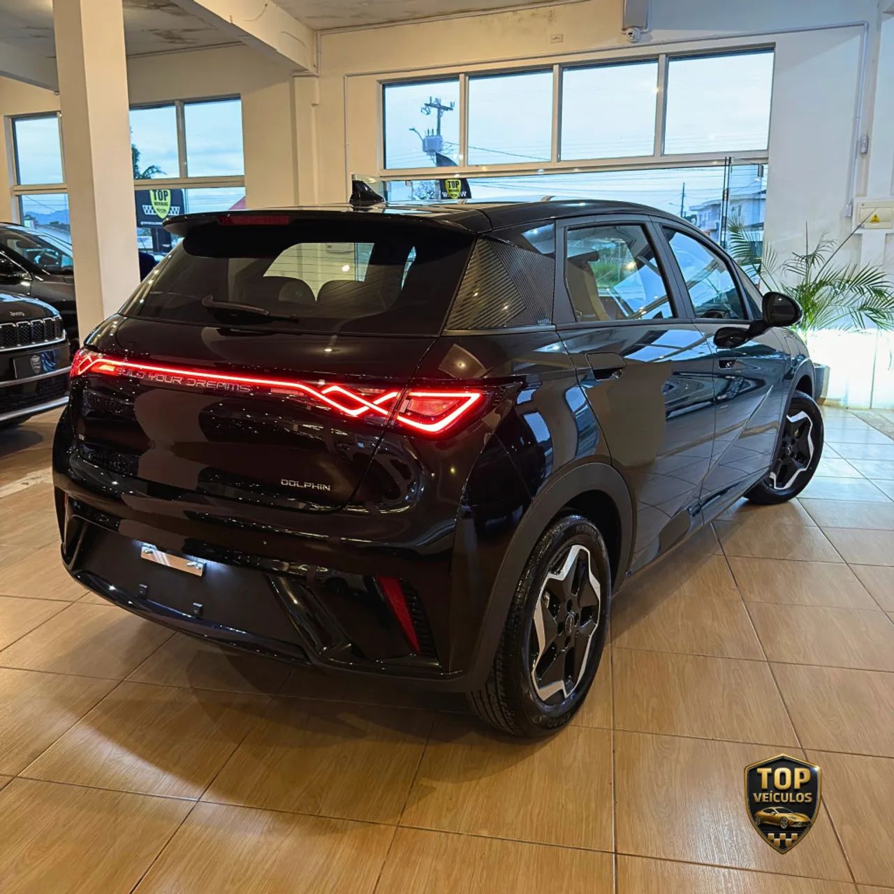 BYD Dolphin GS (Elétrico) 2027 - Foto 4