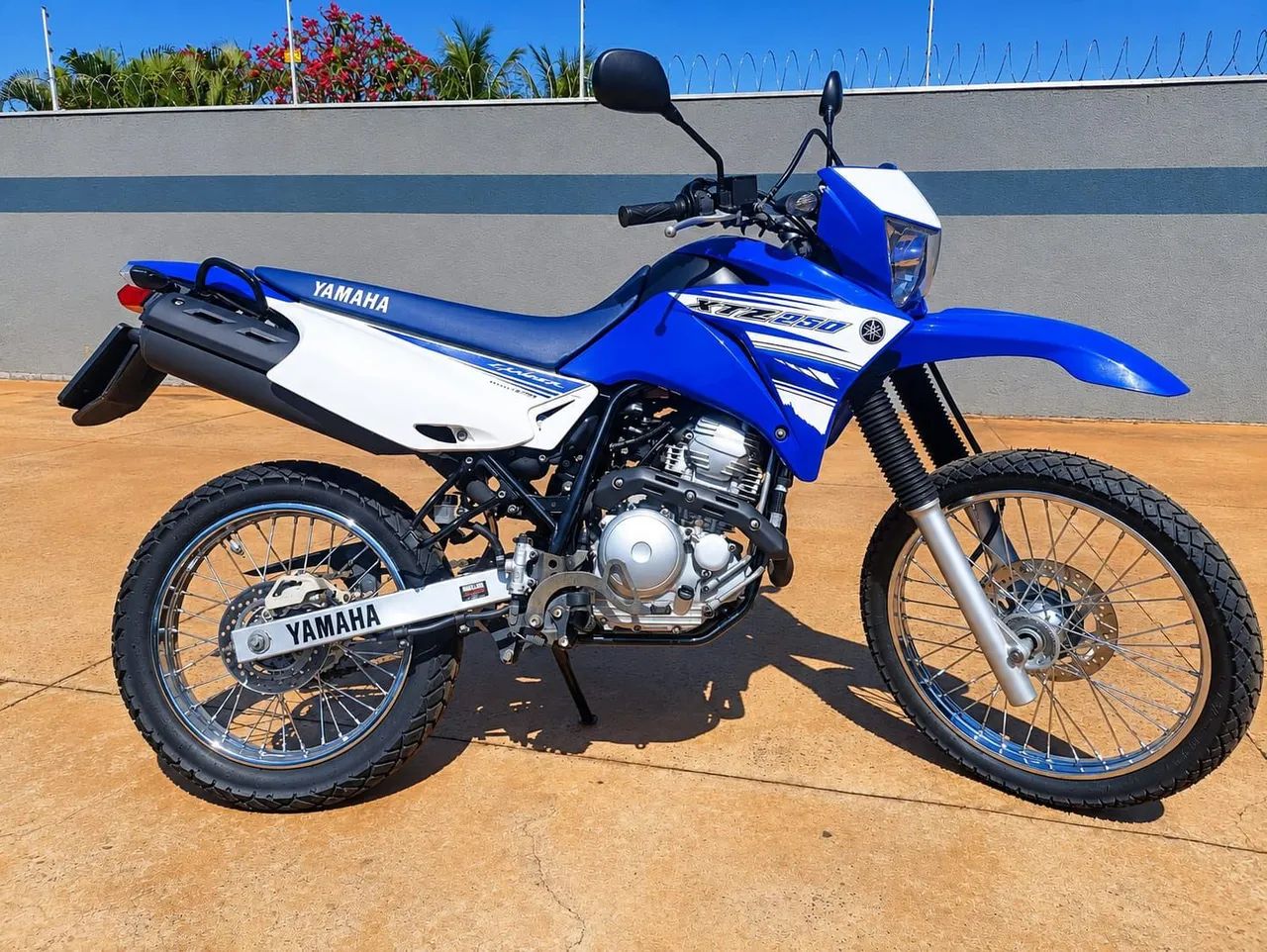 Lander 250 raridade 