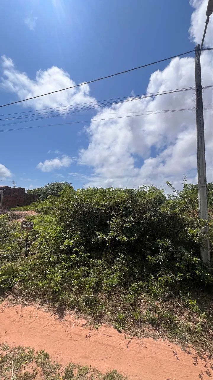 Terreno 7x40 em Extremoz  - Foto 3