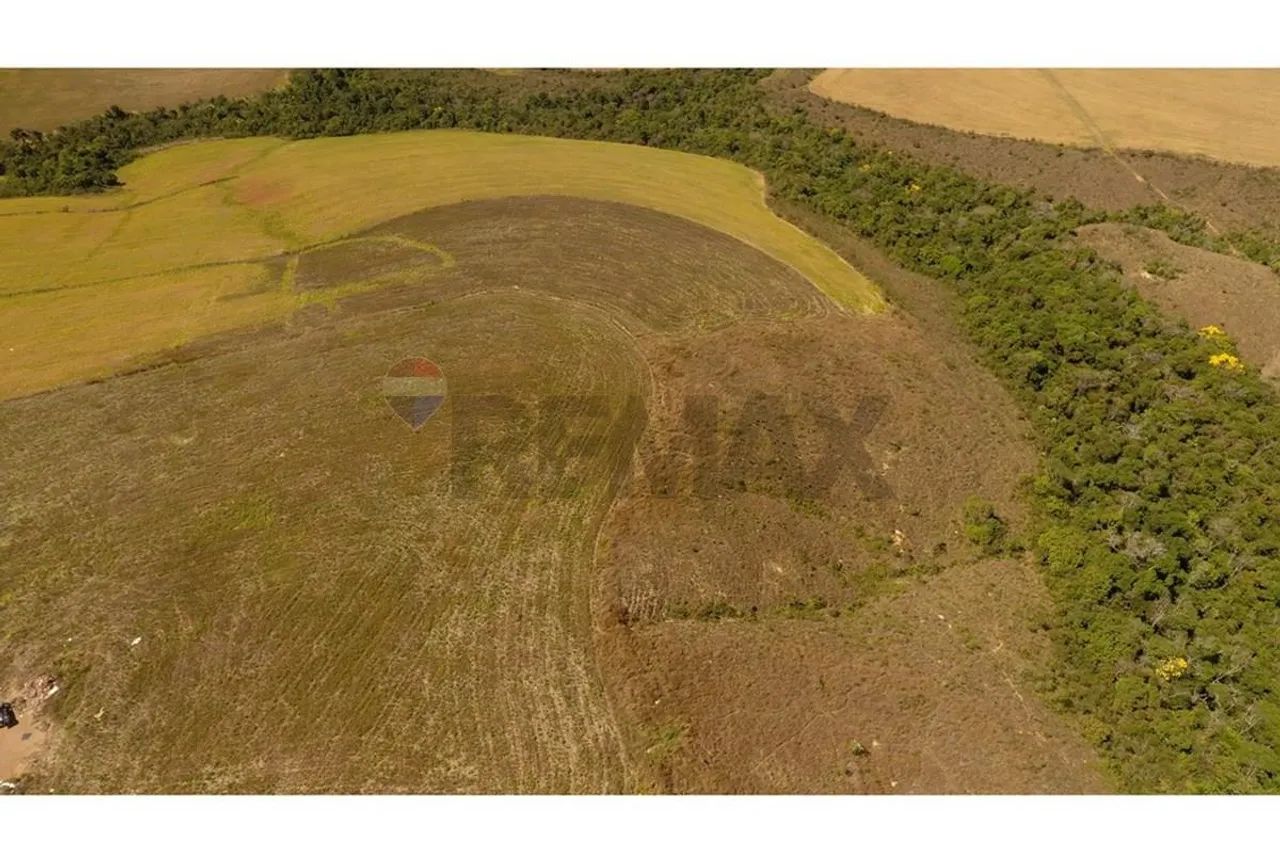 FAZENDA NA SERRA DA CANASTRA - Foto 4