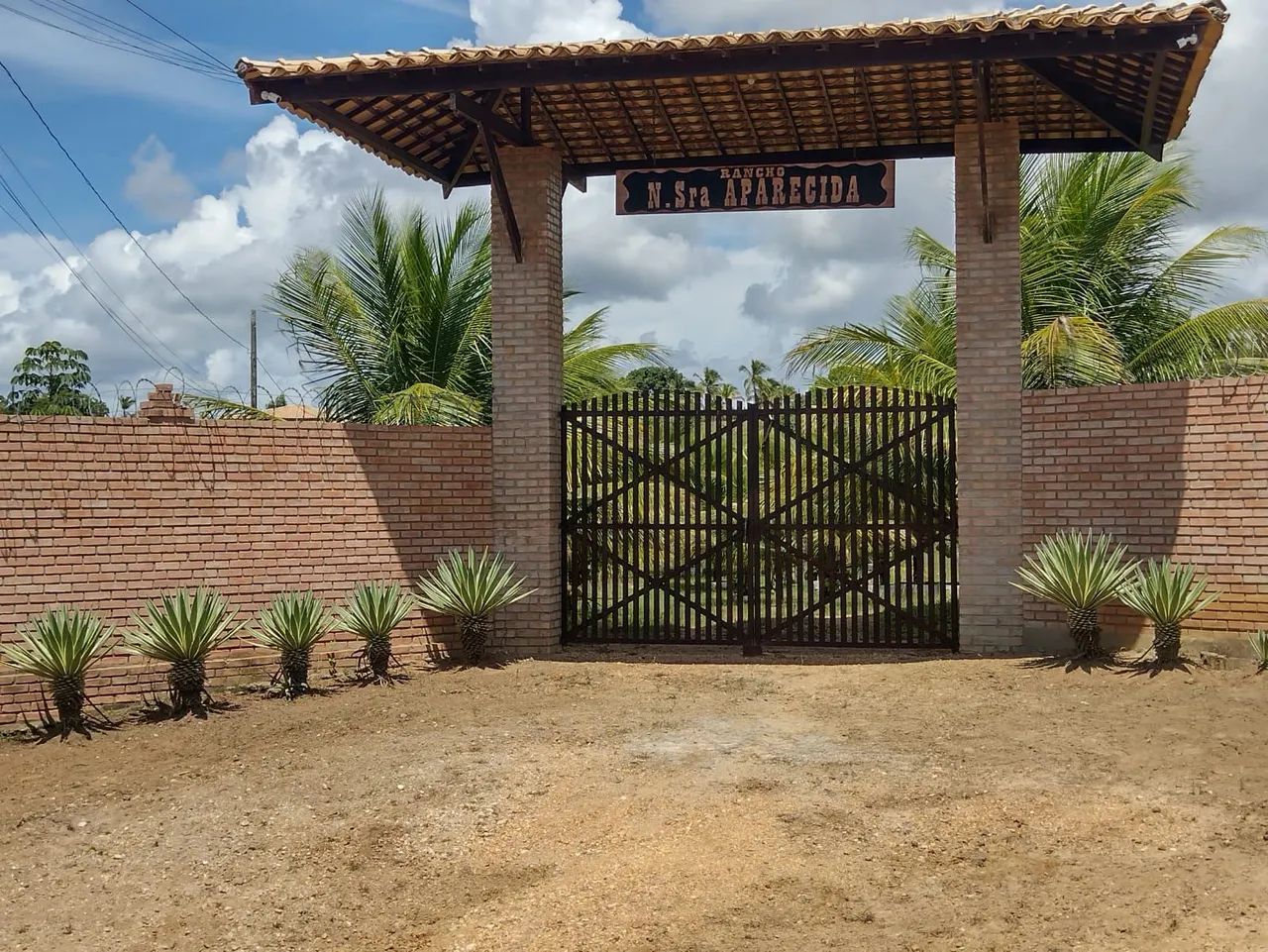 Vendo chácara  com produção 