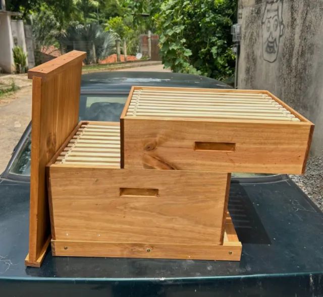 Caixa de Abelha completa, ninho mais  melgueira - Foto 4