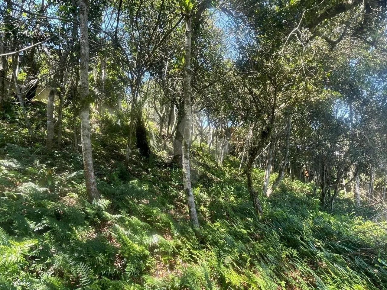 Terreno amplo na Praia do Rosa / Imbituba /SC - Foto 5