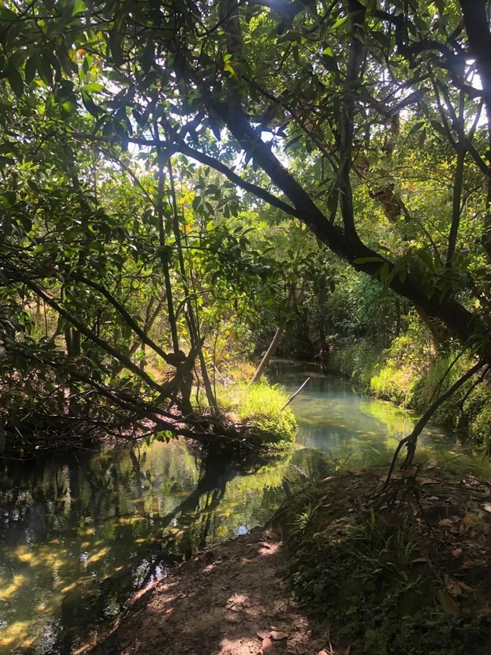 Vende-se banho no água boa de cima  - Foto 4