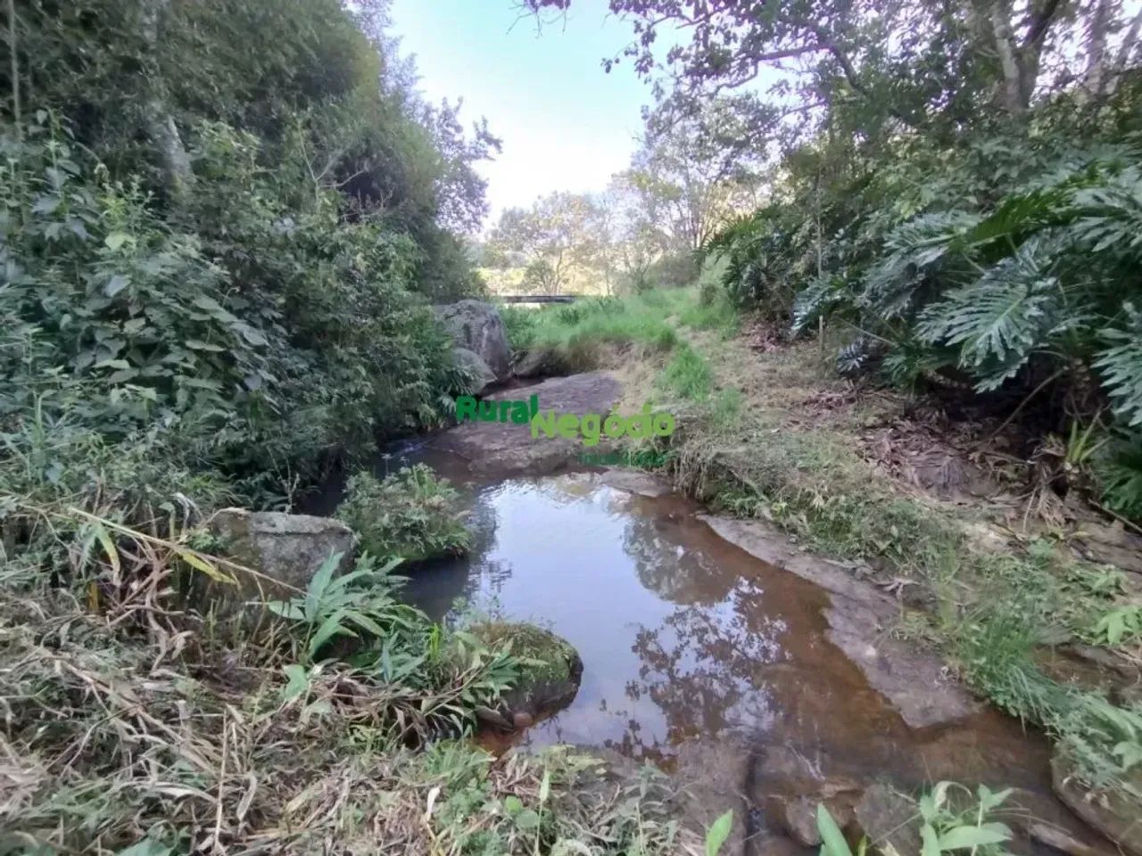 Chácara Formada com Acesso Fácil em Cunha-SP - Foto 2