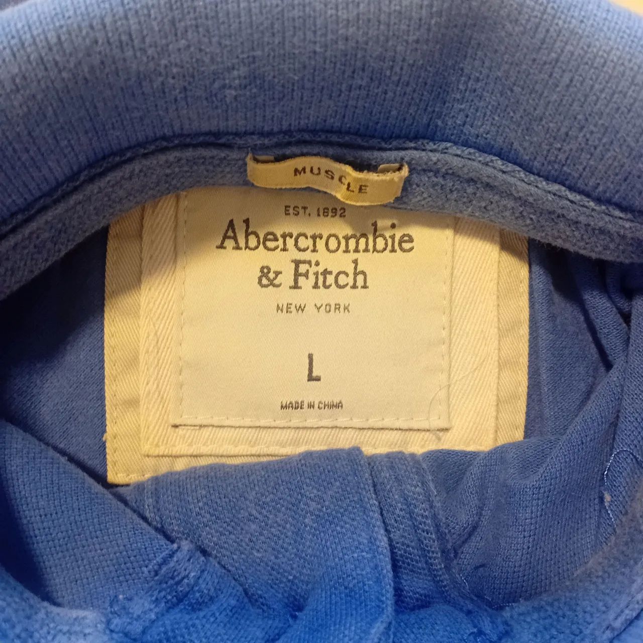 2 Camisas Polo Abercrombie  - Foto 2