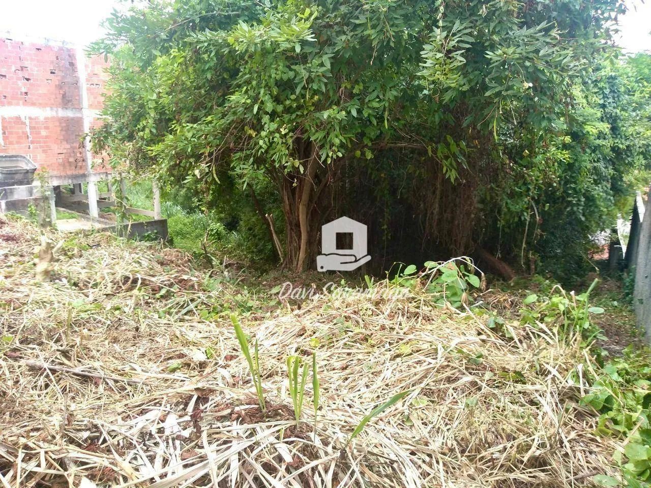 Terreno em Maria Paula - Foto 4