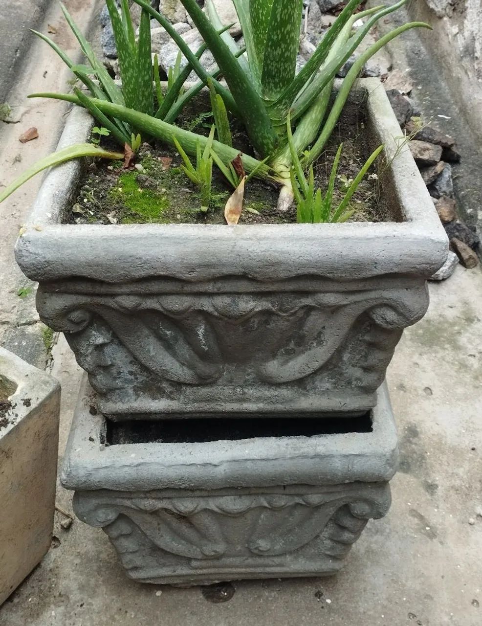 Vaso de cimento 