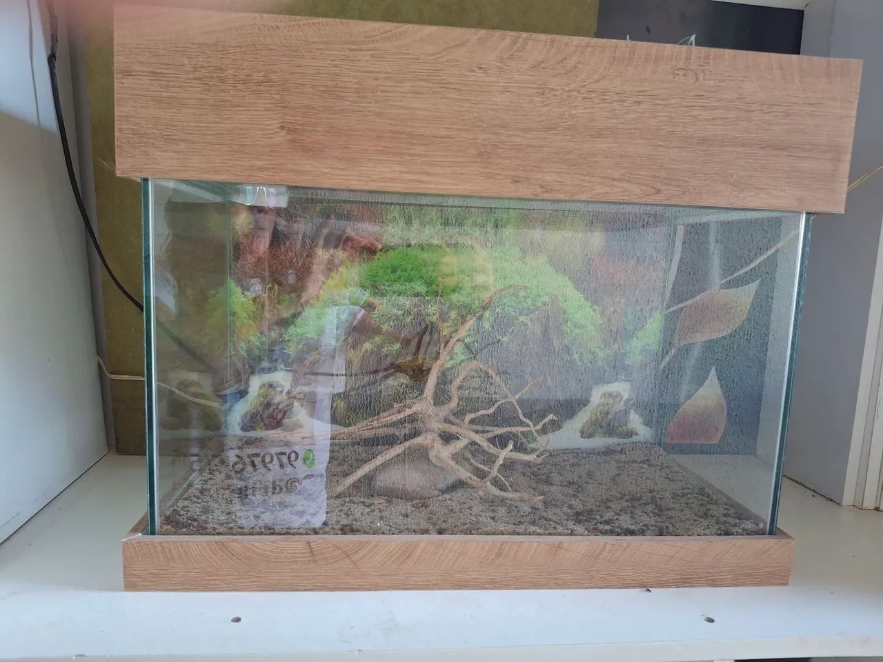 Aquário 50 cm com tampa e base de madeira 