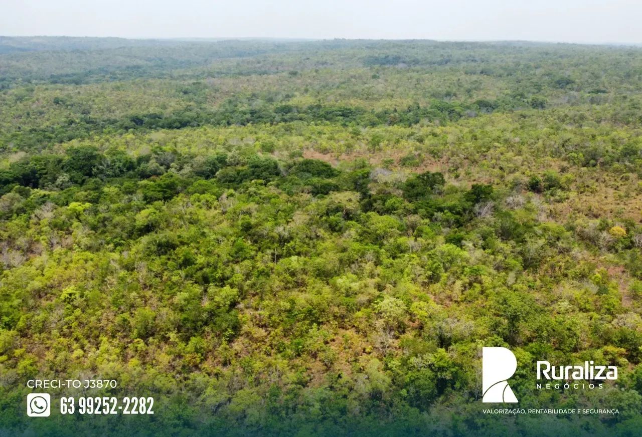 63 HA PARA ABERTURA | PLANO | EXCELENTE OPORTUNIDADE - Foto 5