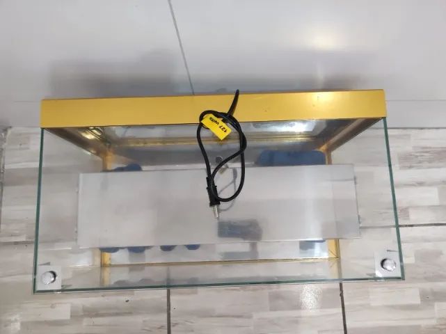 Venda de Vitrine Fria Dourada com Gelo | Omega - Foto 3