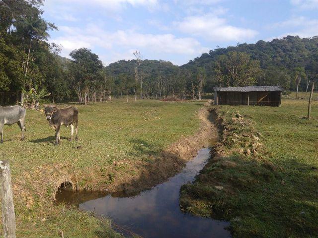 Chácara Linda Em Guaramirim - Foto 12